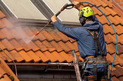 Démoussage et hydrofuge de toiture à Thalamy